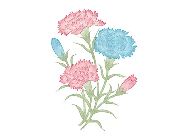 下絵転写紙　3色カーネーション