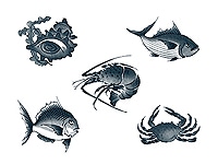 下絵転写紙　墨絵風魚介類