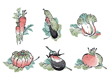 下絵転写紙　4色葉やさい(小)