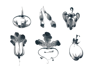 下絵転写紙　墨絵風やさい