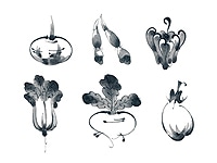 下絵転写紙　墨絵風やさい